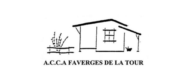INFO ACCA