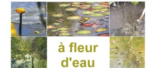 Concours Photo LO PARVI