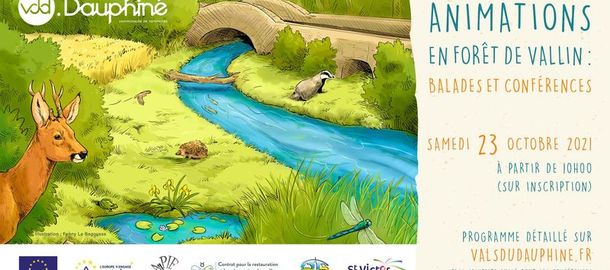 ANIMATION EN FORET DE VALLIN