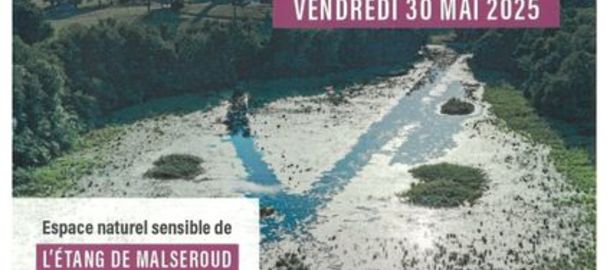 Balade au crpuscule