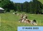 Chroniques d'alpage 