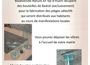 Frelon asiatique - campagne 2024