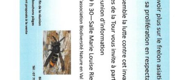 R�union publique Frelon asiatique