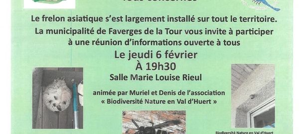 Runion publique Frelons asiatiques