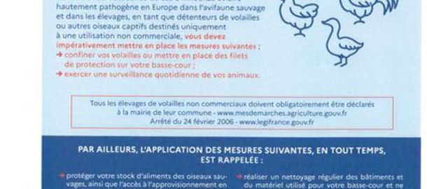L'INFLUENZA AVIAIRE -Renforcement des mesures de bioscurit