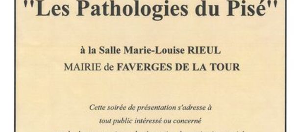 Les pathologies du Pis