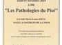 Les pathologies du Pis