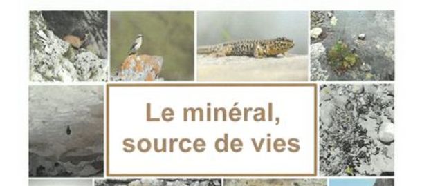 Lo Parvi Concours de photo