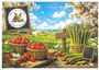 Producteur place des �coliers