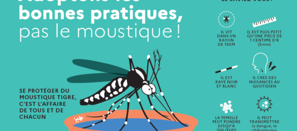 MOUSTIQUE TIGRE