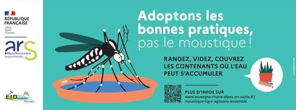 Moustique Tigre - Agissons ensemble