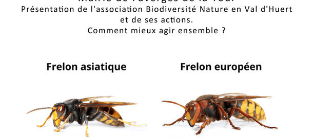 Runion avec les Apiculteurs