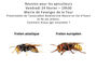 Runion avec les Apiculteurs