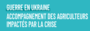 Plan de rsilience