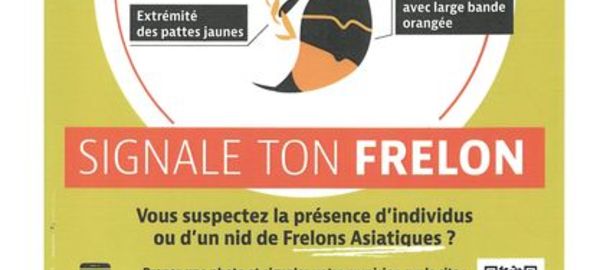 GDS Auvergne Rhne-Alpes - Signale ton frelon