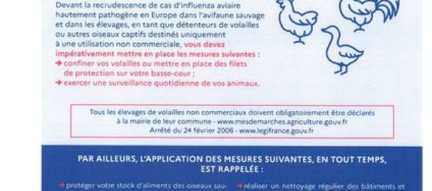 INFLUENZA AVIAIRE - Leve des ZCT - Maintien des mesures de prcaution