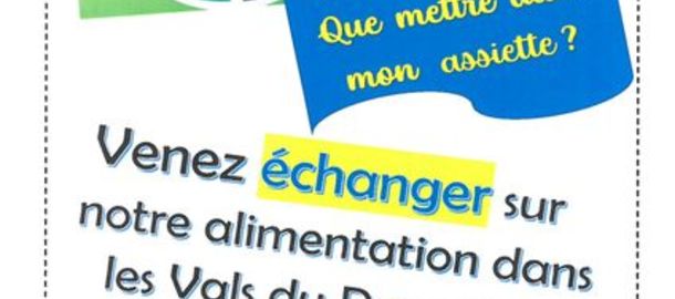 Conseil du dveloppement