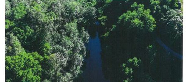 Animation ENS Zone humide des fontaines