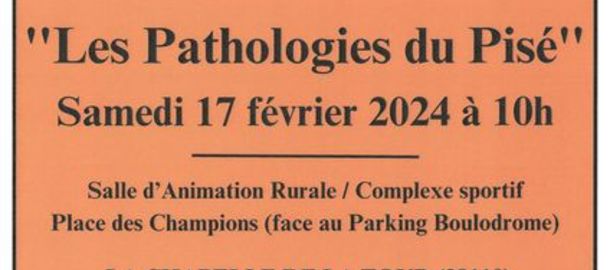 Les pathologies du Pis