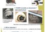 Info Frelon asiatique