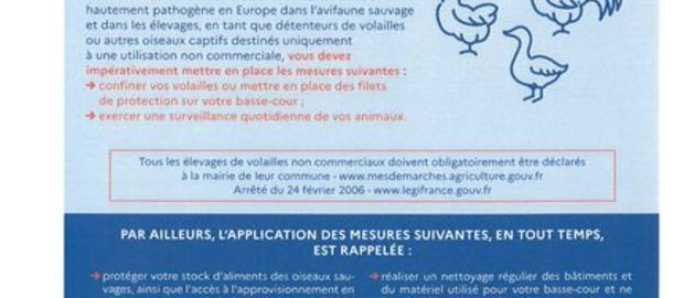 L'INFLUENZA AVIAIRE -Risque lev